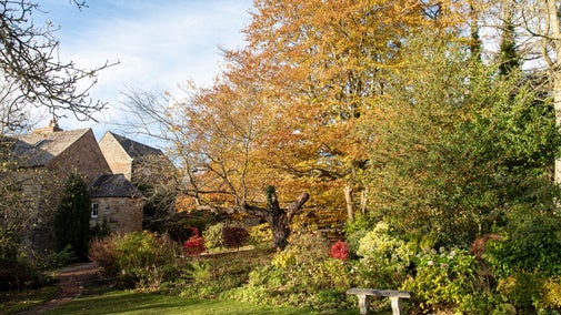 Crook Hall ablaze with colour in the Autumn time